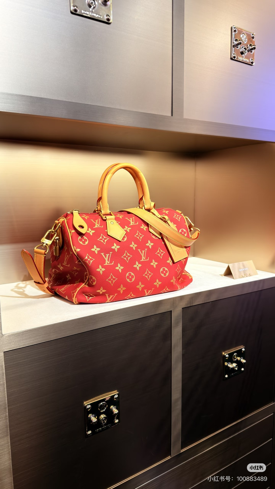 Louis Vuitton LV Limited Edition | Luxury Designer Fashion Accessory
